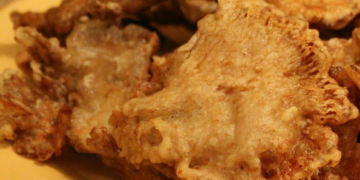 Receta 1 Orellana apanada